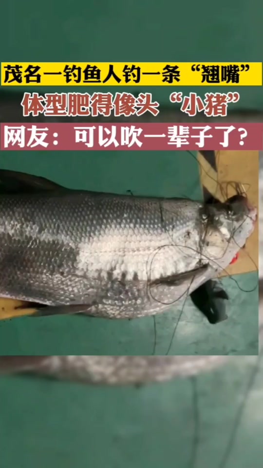 钓成翘嘴是什么意思(把男人钓成翘嘴是什么意思)